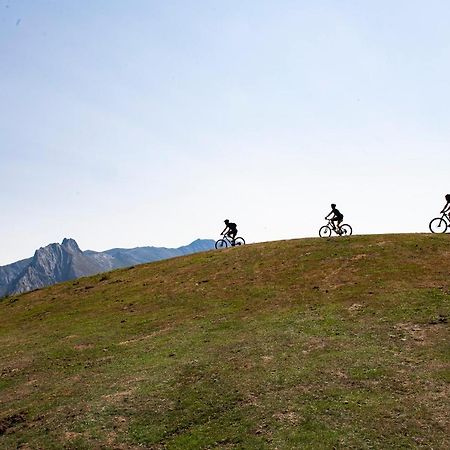 Apartamentos Los Picos De Europa Colio Eksteriør bilde