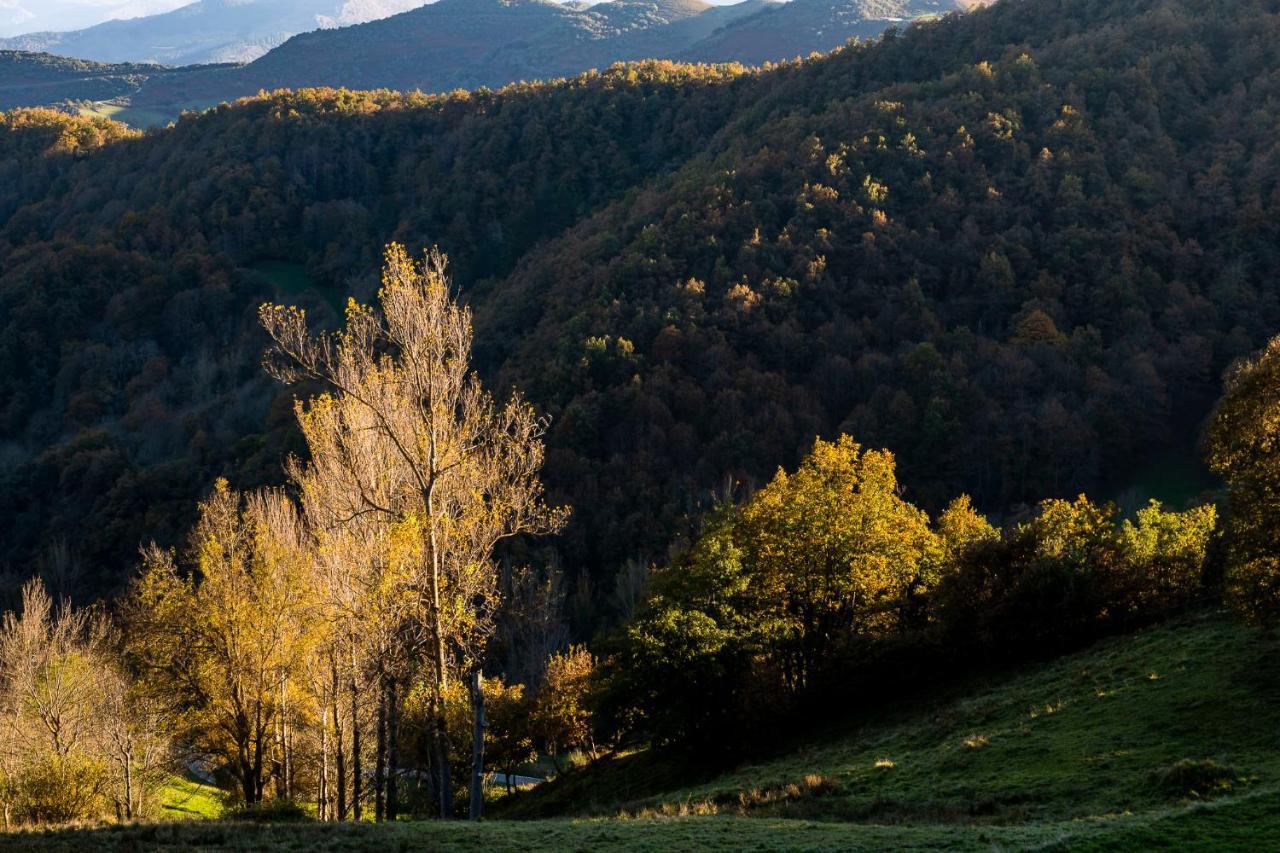 Apartamentos Los Picos De Europa Colio Eksteriør bilde